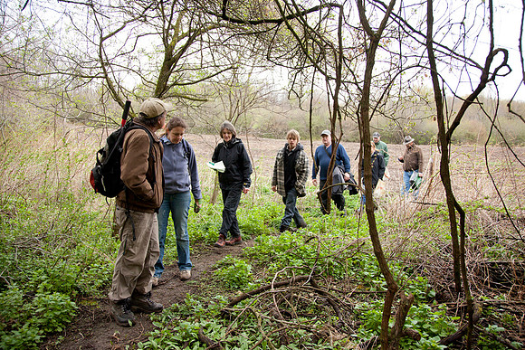 STA_Foraging_131