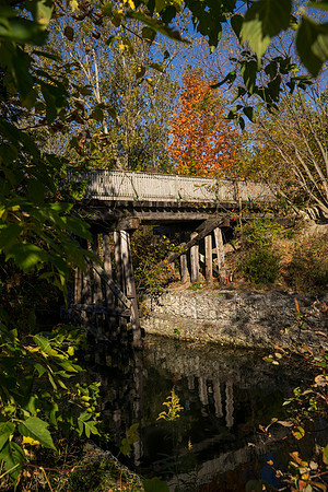 SS_Scenic_165