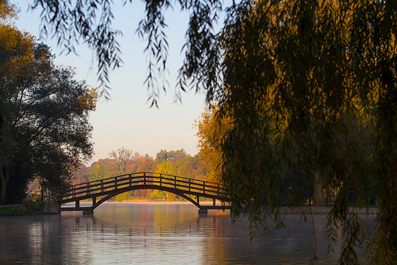 SS__Scenic_1151