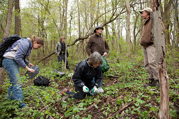 STA_Foraging_099