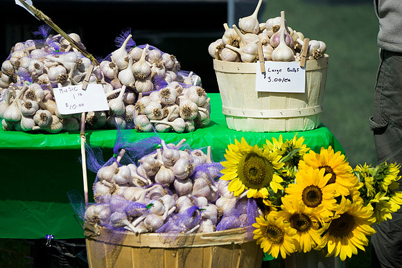 SS_Garlic Festival_705