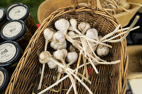 SS_Garlic Festival_695