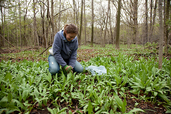 STA_Foraging_164