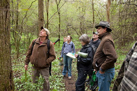 STA_Foraging_061