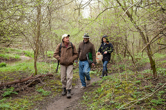 STA_Foraging_139
