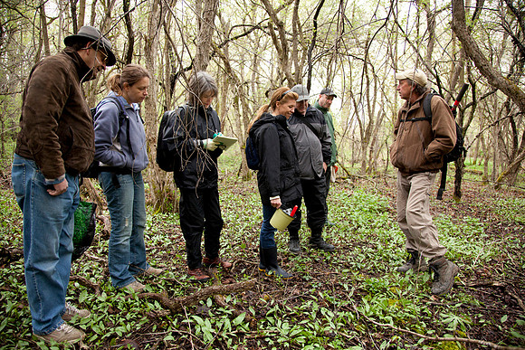 STA_Foraging_011