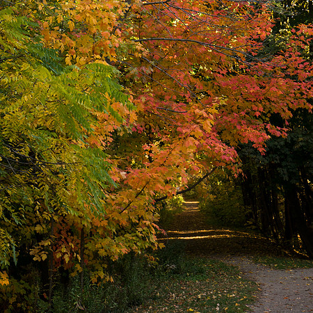 SS_Scenic_162