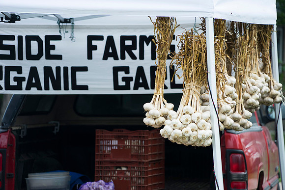 SS_Garlic Festival_714