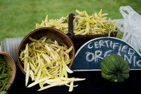 SS_Garlic Festival_672