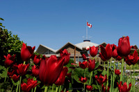 5-May