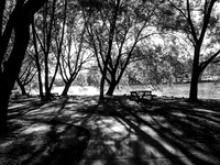 STA_365_June_647_1