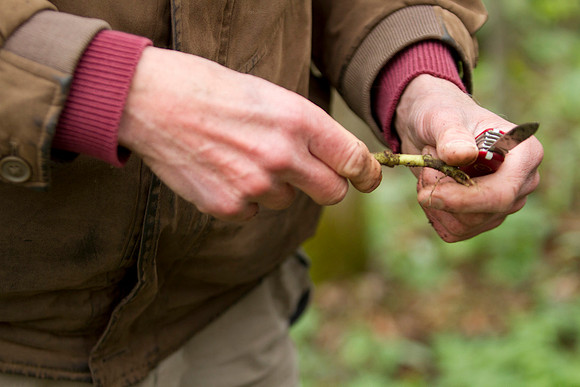 STA_Foraging_201