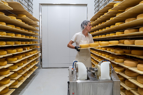 PCSP_StonetownCheese_029