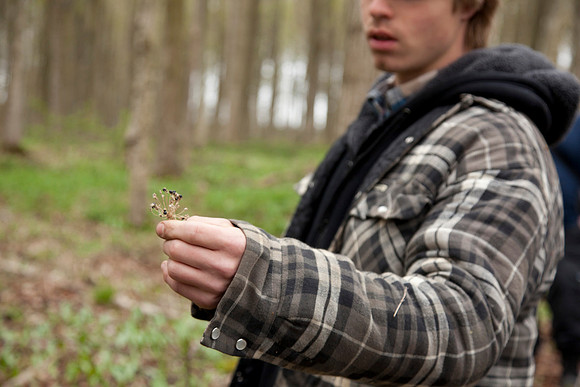STA_Foraging_137