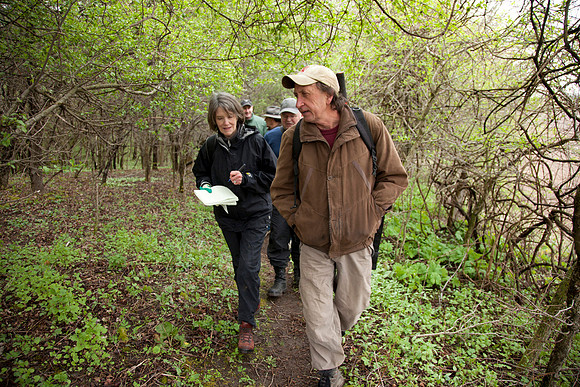 STA_Foraging_130
